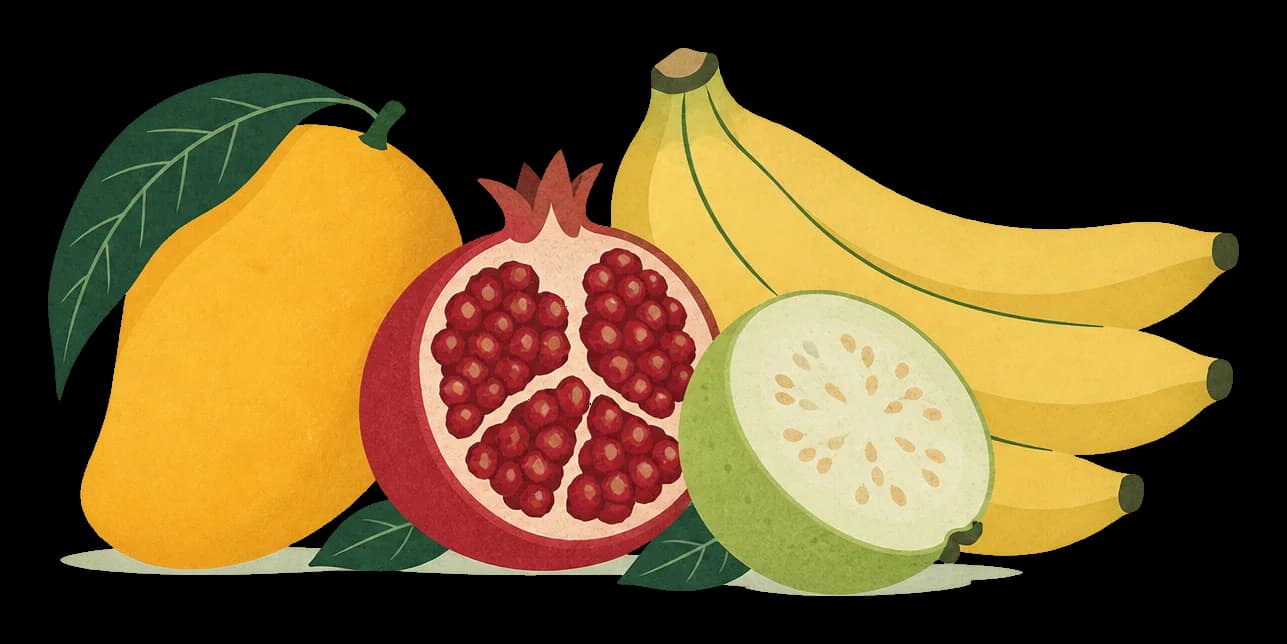 Illustration of seasonal fruits: a mango, a pomegranate, bananas and a guava